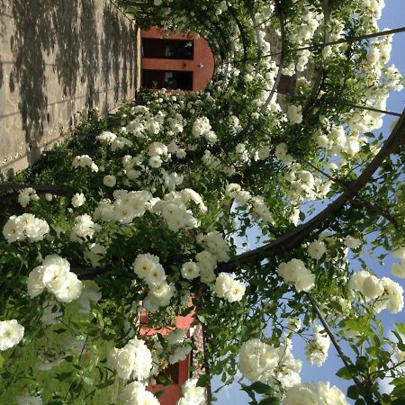 Agriturismo Casale Le Selvette Ripa Exterior foto