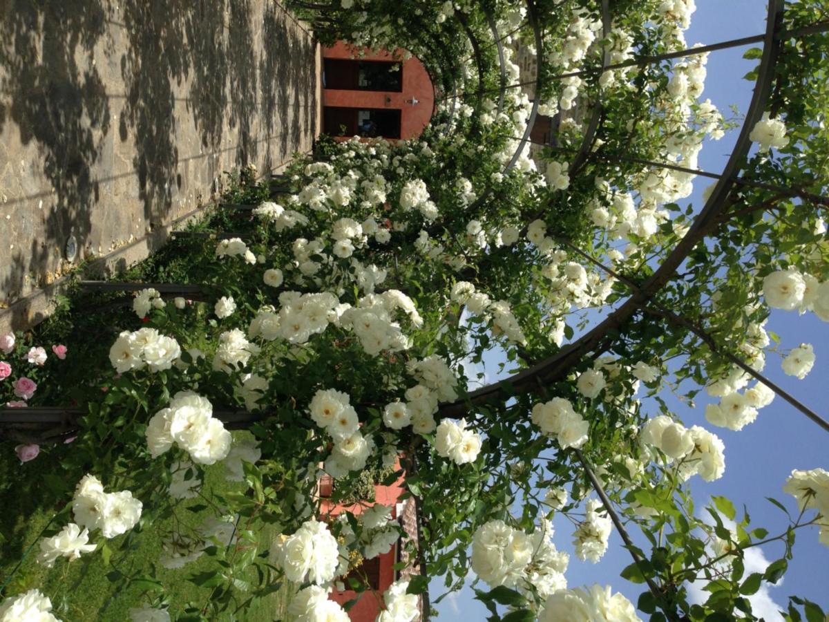 Agriturismo Casale Le Selvette Ripa Exterior foto
