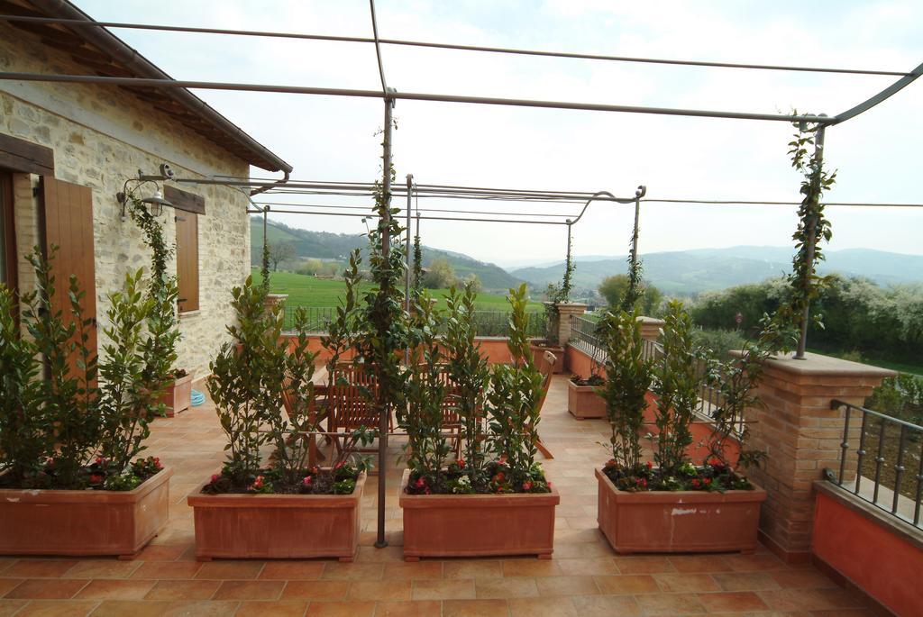 Agriturismo Casale Le Selvette Ripa Exterior foto