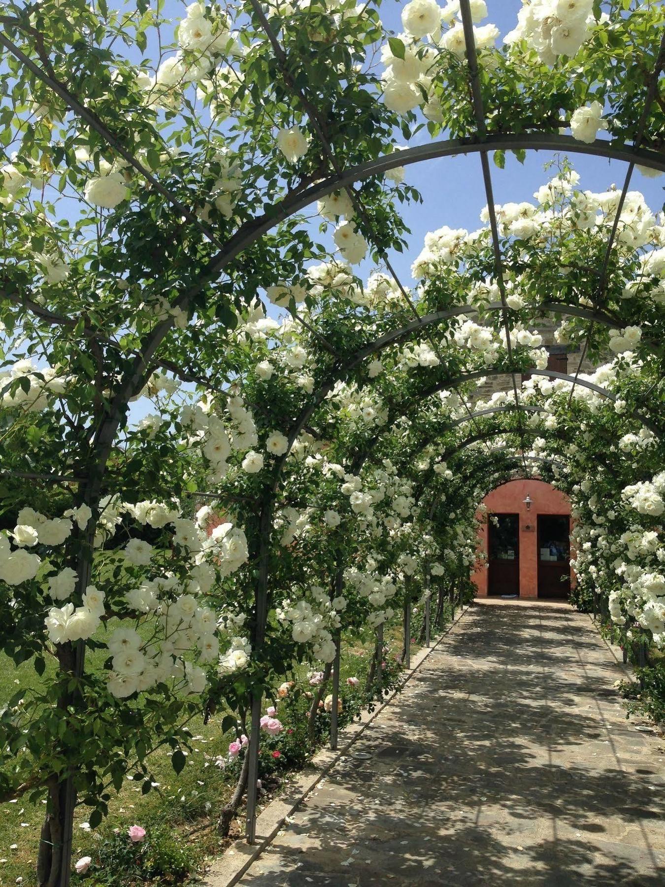 Agriturismo Casale Le Selvette Ripa Exterior foto